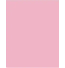 OAK TAG: 22x28,  PINK 25 SHEETS
