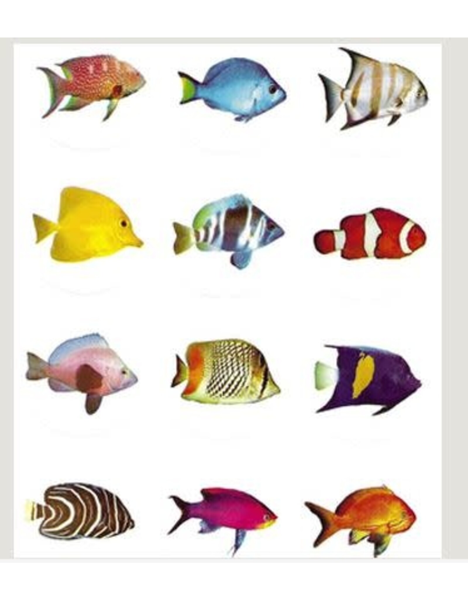 STICKER: JUMBO FISH CIRCLES  2"  10 SHEETS