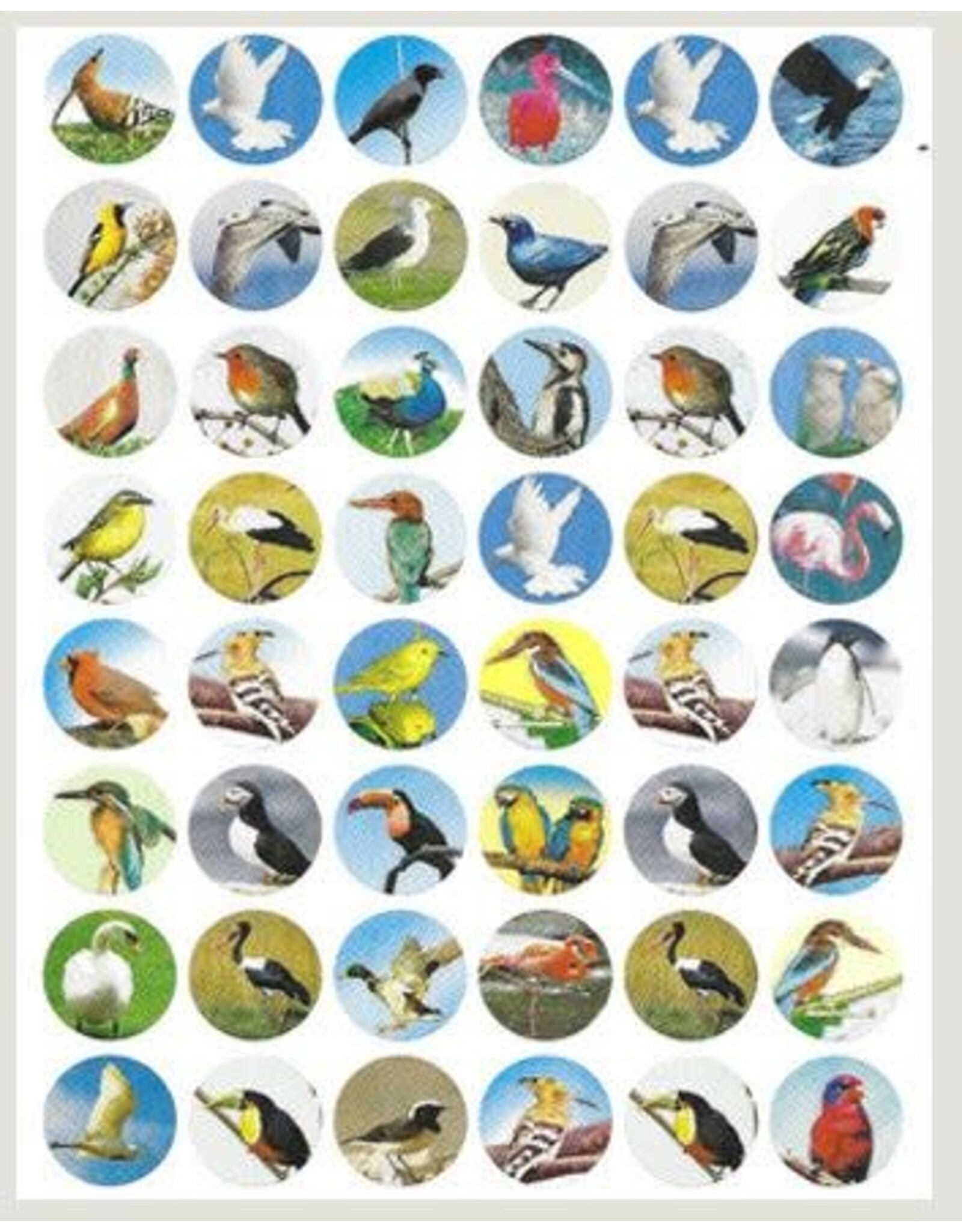 STICKERS: BIRDS 10 SHEETS