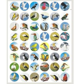 STICKERS: BIRDS 10 SHEETS