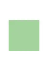 OAK TAG: 22X28, LIGHT GREEN 100 SHEETS