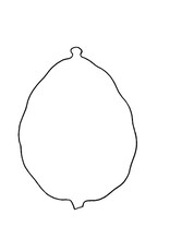 RANENU CUT OUT BLANK  ESROG 12 PIECES 6"X10"
