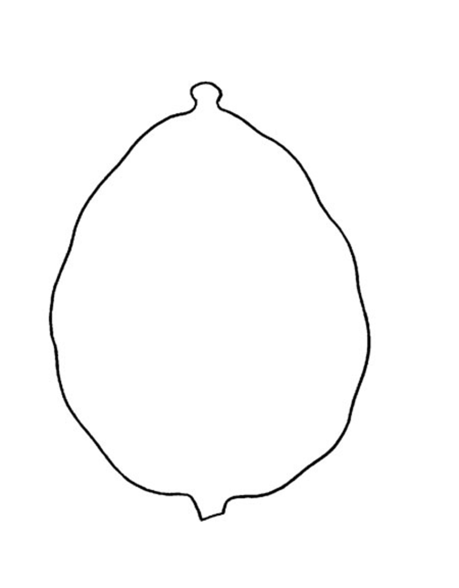 RANENU CUT OUT BLANK  ESROG 12 PIECES 6"X10"