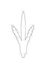 RANENU CUT OUT BLANK LULAV 12 PIECES 5.5"X11"