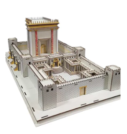 3D WOODEN BAIS HAMIKDASH PUZZLE 350 PC