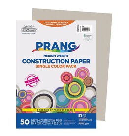 HEAVYWEIGHT CONSTRUCTION PAPER : GRAY - 9x12 - 50 PC