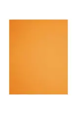 DIXON BRAND OAK TAG: 22x28, FLUORESCENT  ORANGE