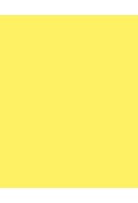DIXON BRAND OAK TAG: 22x28, FLUORESCENT YELLOW