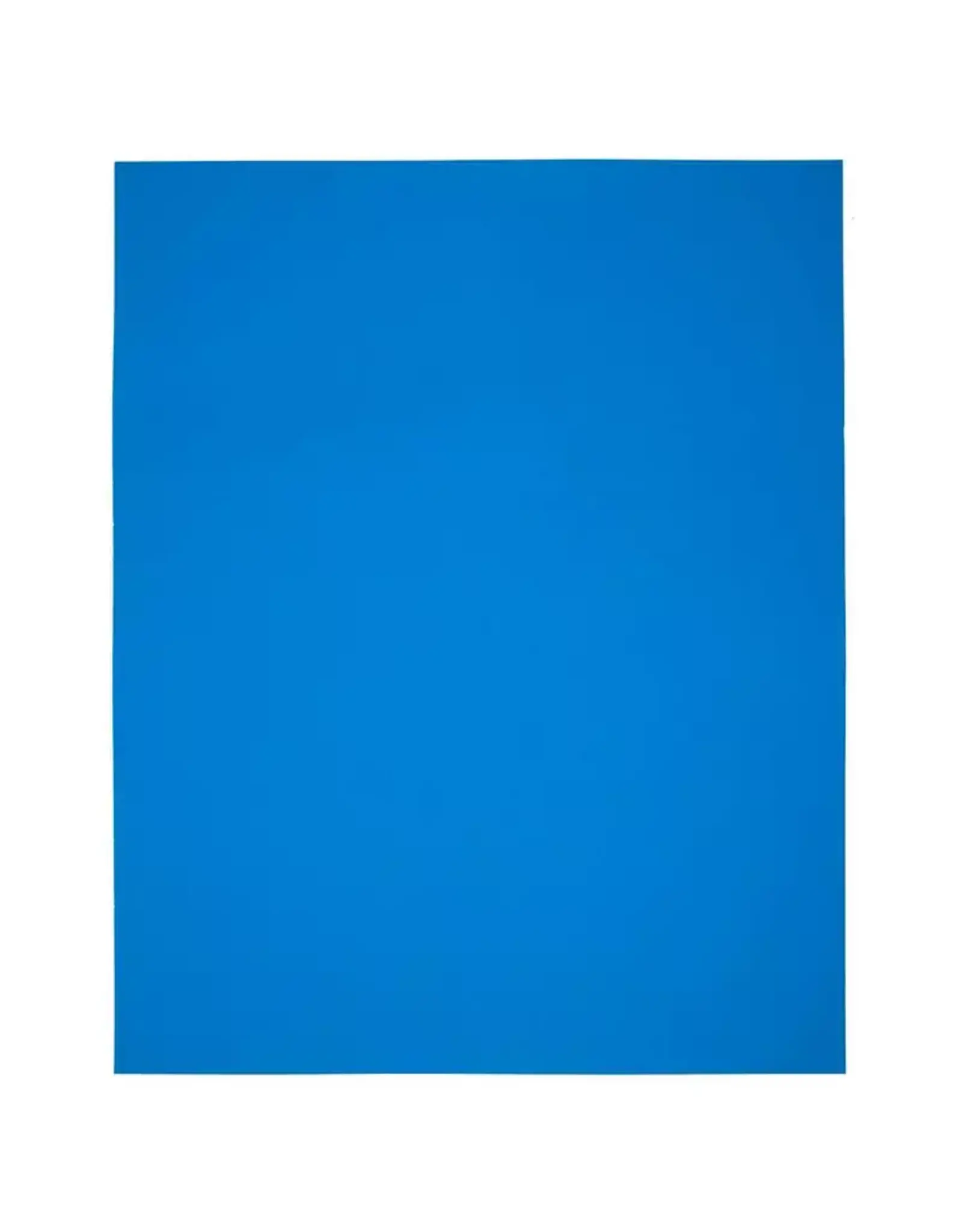 DIXON BRAND OAK TAG: 22x28, FLUORESCENT  BLUE