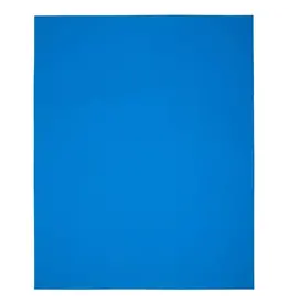 DIXON BRAND OAK TAG: 22x28, FLUORESCENT  BLUE