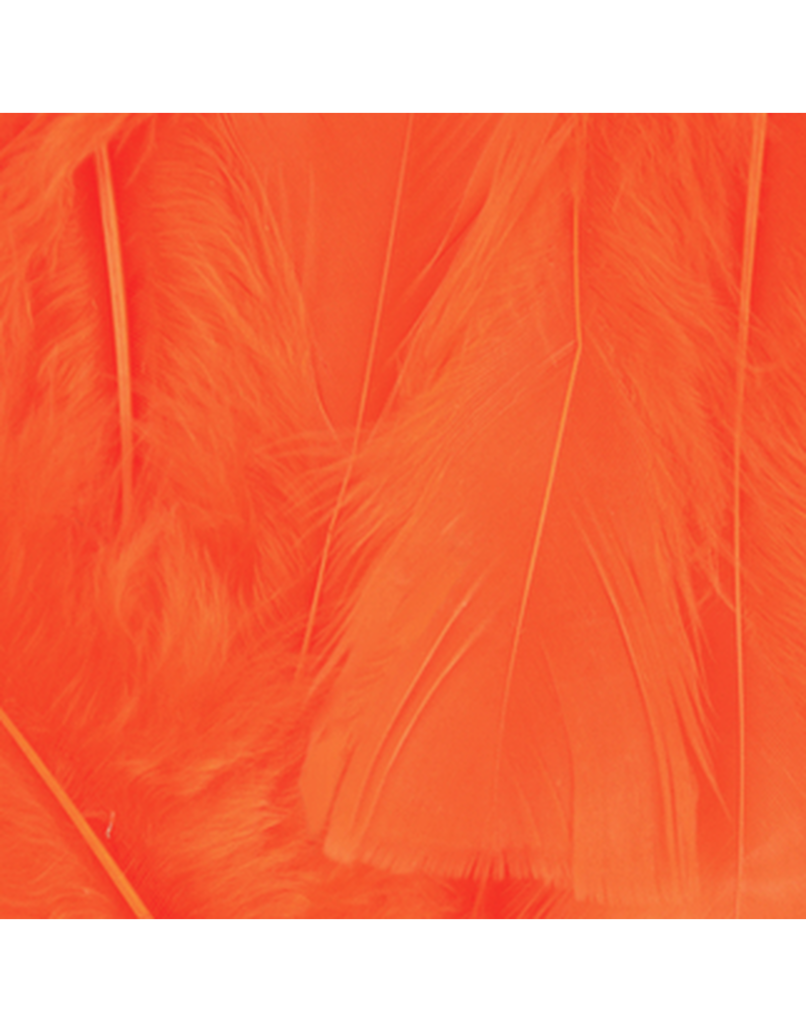 Feathers: Orange 14  GRAMS