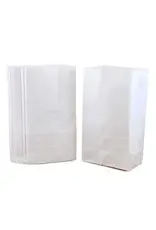 CRAFT BAGS - 6''x11'' - WHITE- PKG/100