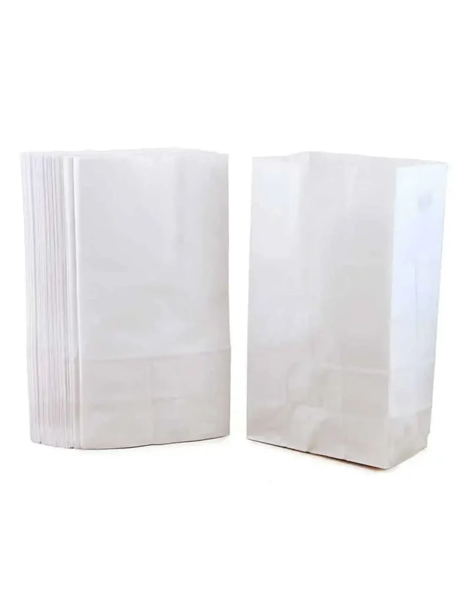 CRAFT BAGS - 6''x11'' - WHITE- PKG/100