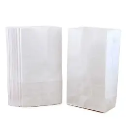 CRAFT BAGS - 6''x11'' - WHITE- PKG/100