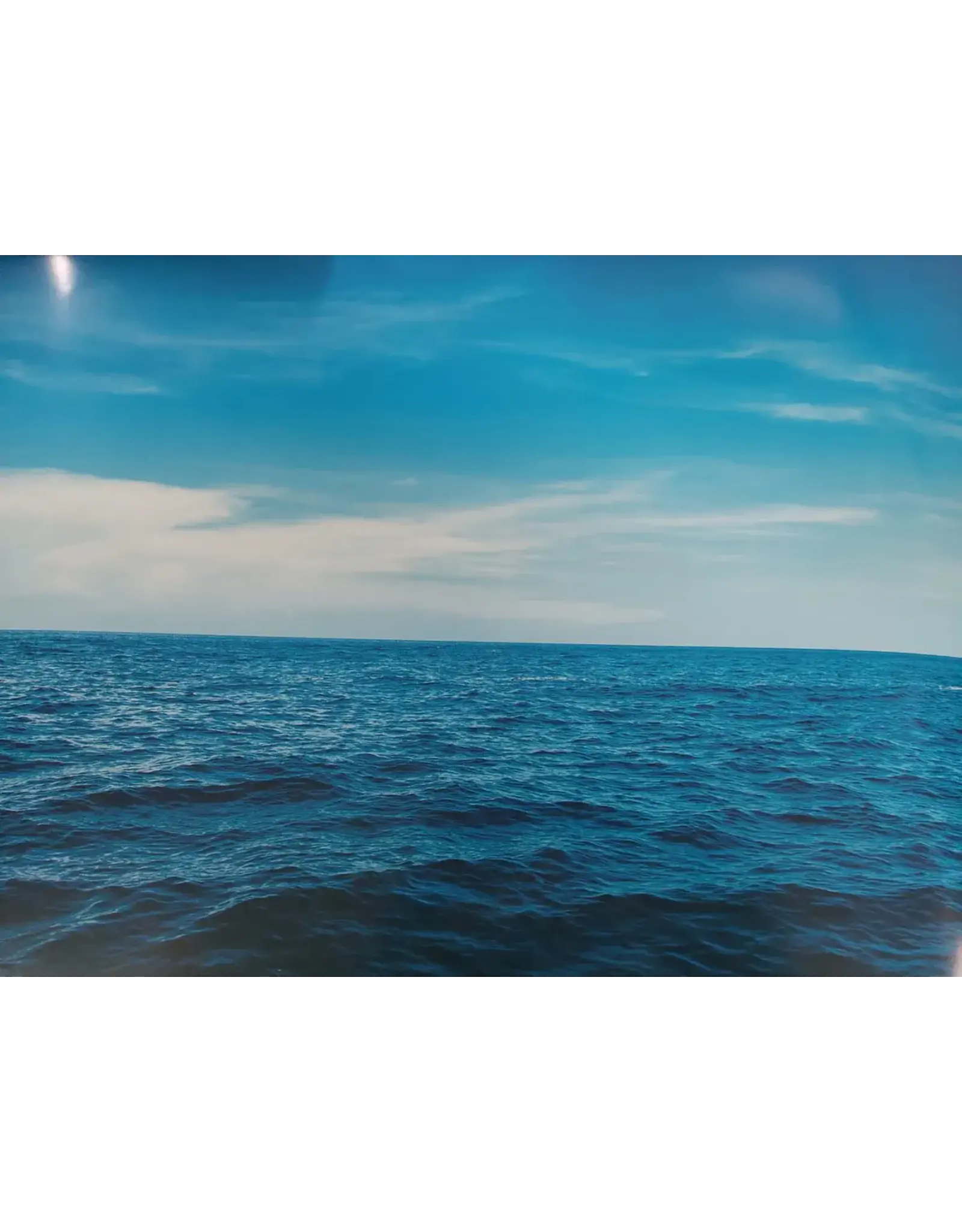 PICTURE OAK TAG:  22X28    WATER AND SKY BACKGROUND