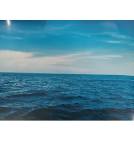 PICTURE OAK TAG:  22X28    WATER AND SKY BACKGROUND