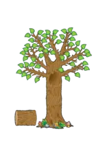 BULLETIN BOARD SET: THE SEASONAL TREE