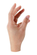 RANENU REALISTIC HAND CUT OUT 20 PC 2"X4"