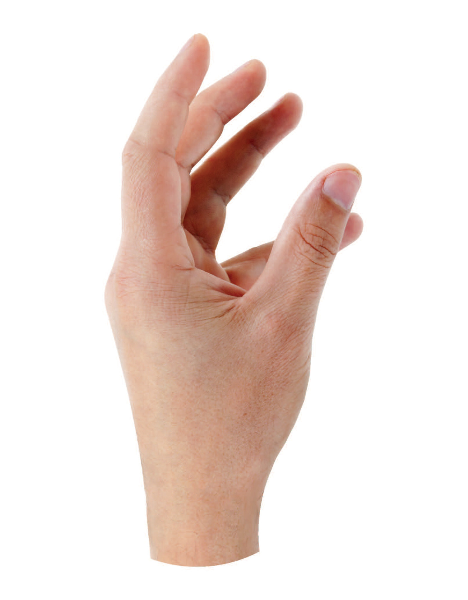 RANENU REALISTIC HAND CUT OUT 20 PC 2"X4"