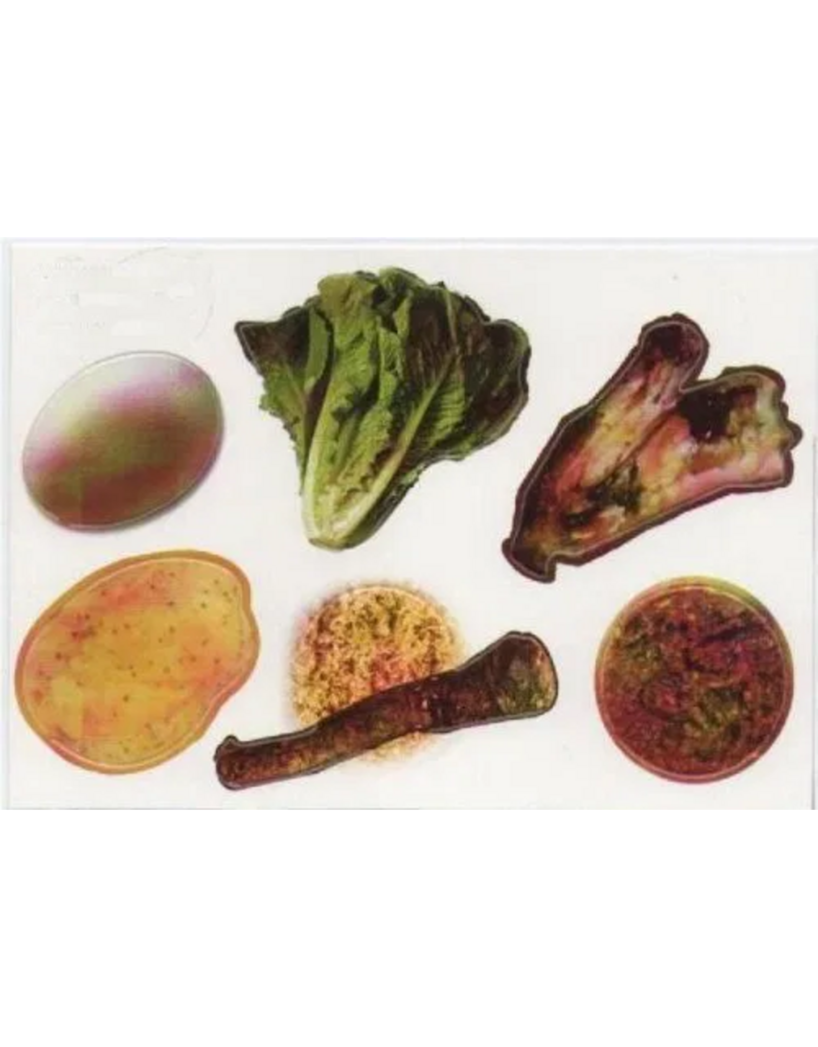 CUT OUTS: SEDER PLATE SIMANIM WITH GOLD EDGE 20 SETS