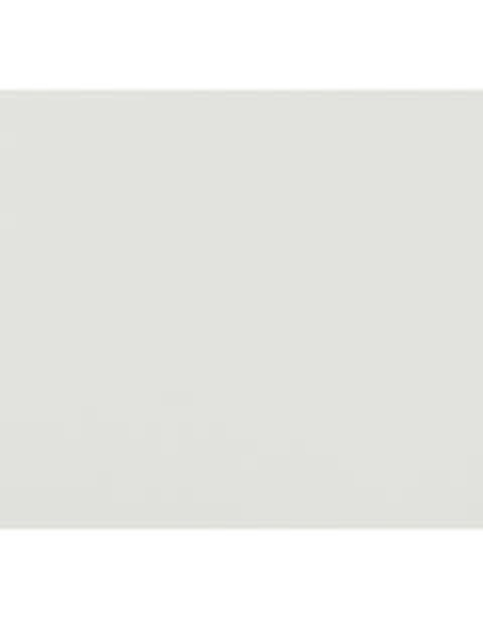 OAK TAG: 22x28 - WHITE 100 SHEETS