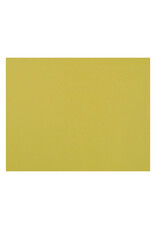 OAK TAG: 22x28,  YELLOW 100 SHEETS