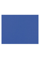 OAK TAG: 22x28,  DARK BLUE 100 SHEETS