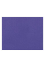 OAK TAG: 22x28,  PURPLE 100 SHEETS