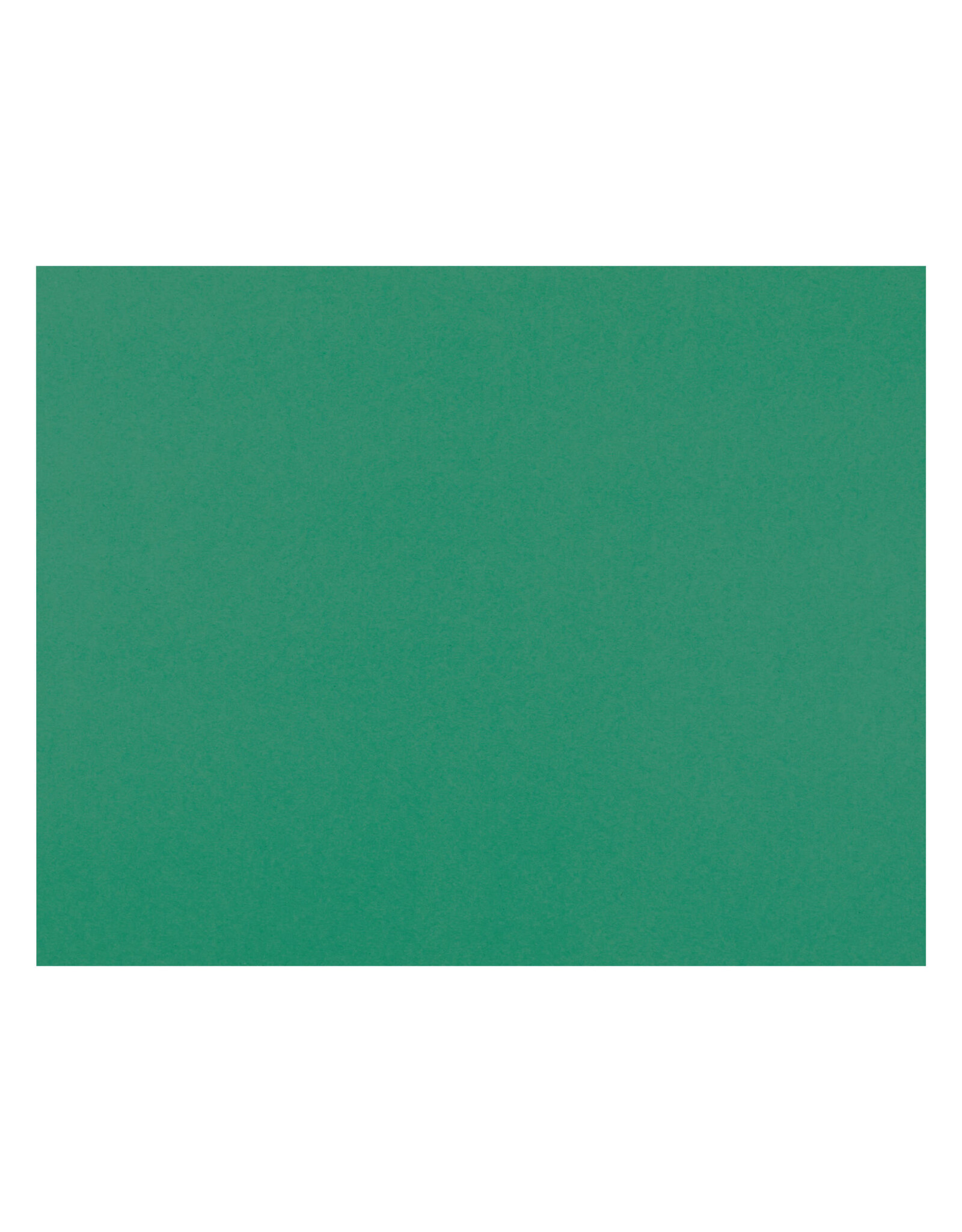 OAK TAG: 22x28,  GREEN 100 SHEETS