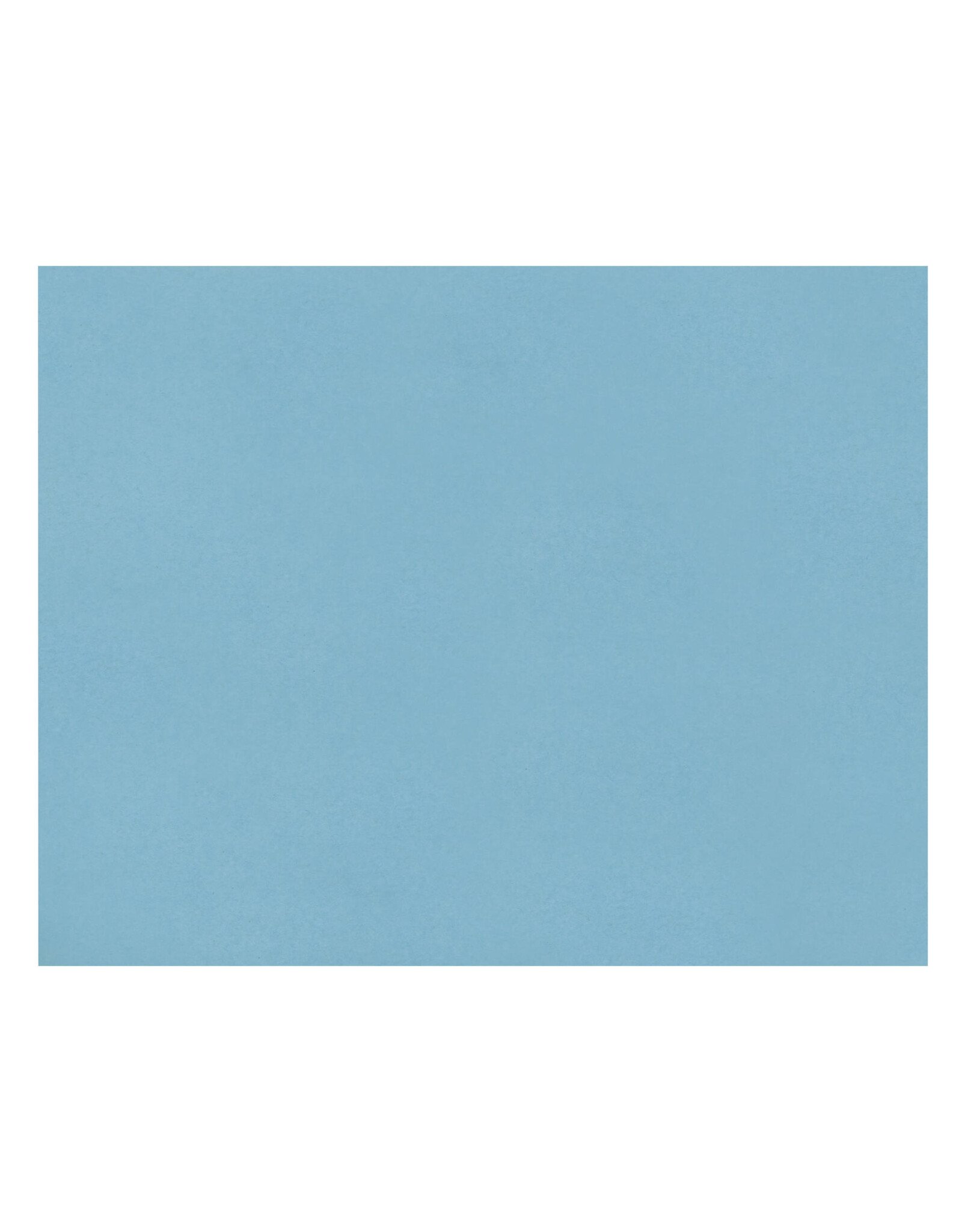 OAK TAG: 22x28,  LIGHT BLUE 100 SHEETS