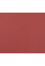 OAK TAG  22x28,   RED 100 SHEETS