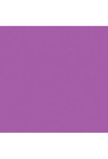 HYGLOSS Foam Sheet 12"x18"x2mm