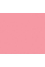 HYGLOSS Foam Sheet 12"x18"x2mm