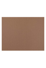 Pacon Oak Tag 22"x28" 100 Pack