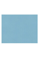 Pacon Oak Tag 22"x28" 100 Pack