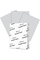 Vellum Bristol Cardstock 67lb 8.5"x11" 250 Pack