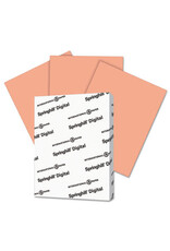 Vellum Bristol Cardstock 67lb 8.5"x11" 250 Pack