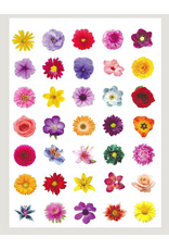 STICKER FLOWER DOT REALISTIC 3/4" 10 SHEETS