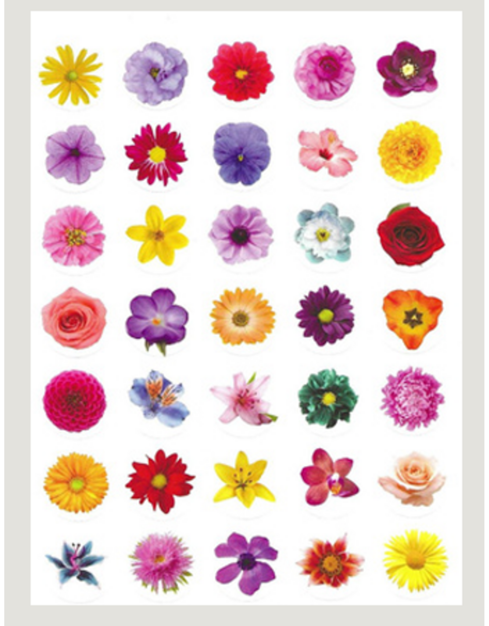 STICKER FLOWER DOT REALISTIC 3/4" 10 SHEETS