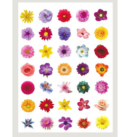 STICKER FLOWER DOT REALISTIC 3/4" 10 SHEETS