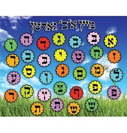 CREATE YOU OWN FOAM ALEF BAIS PUZZLE