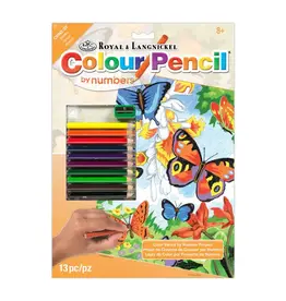 PENCIL BY NUMBER -  BUTTRFLIES 8.75" x 11.75"