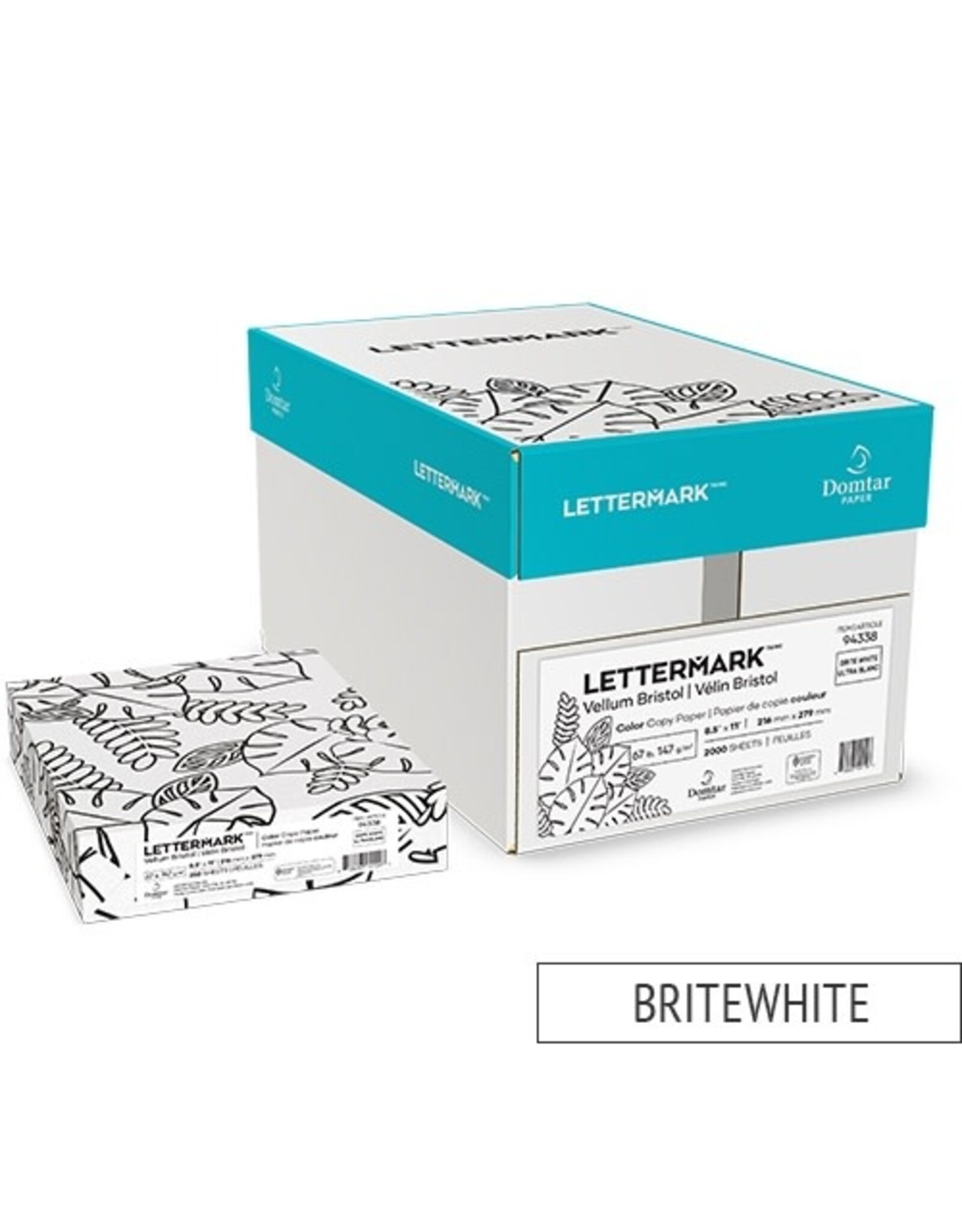 Vellum Bristol Cardstock 67lb 8.5"x11" 250 Pack