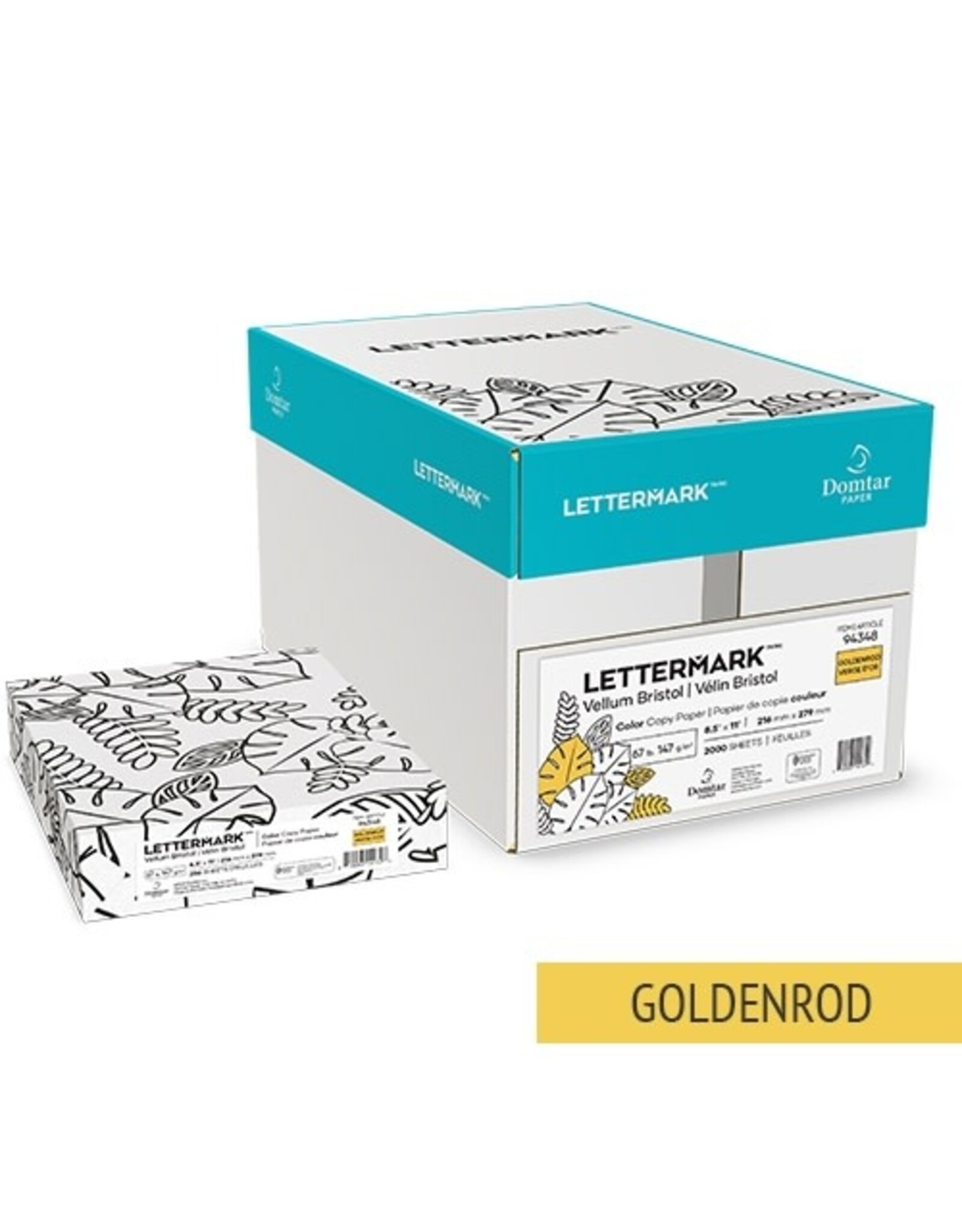 Vellum Bristol Cardstock 67lb 8.5"x11" 250 Pack