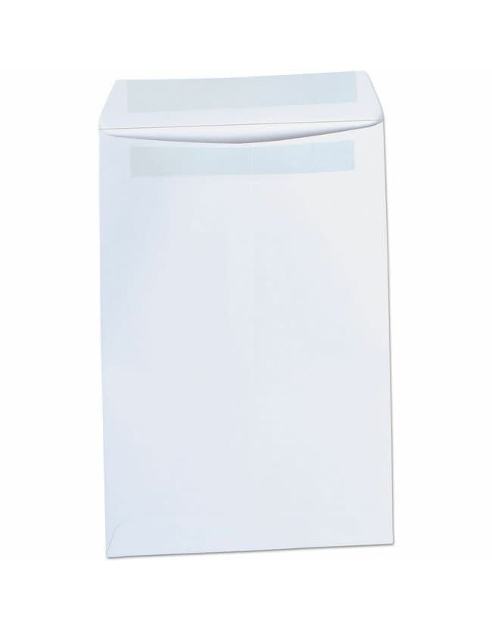 WHITE  ENVELOPES  SELF STICK 6x9 - 100 PACK