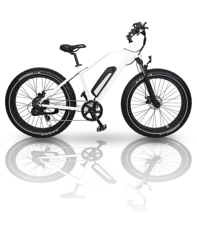 shimano everest bike