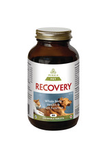 Purica Recovery Chewable Tablets