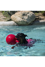 Jolly Pets Ball Tug N Toss