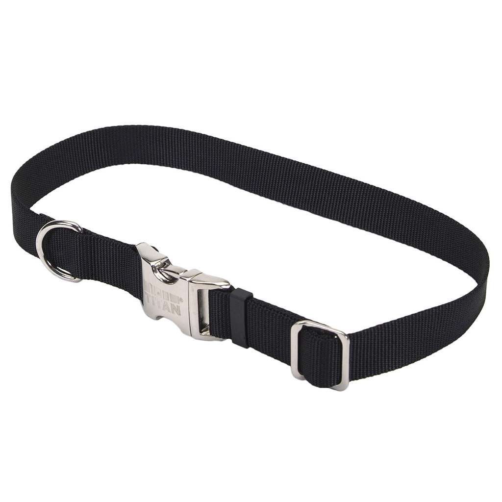 titan dog collar