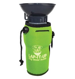 Water Bottle 20OZ